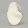 Clavicle, Solid White Plastic, Right