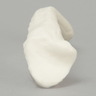 Clavicle, Solid White Plastic, Right