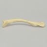 Clavicle, Solid Foam, Right