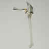 Shoulder with Radiopaque Properties, Right
