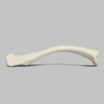 Clavicle, Solid White Plastic, Left