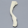 Clavicle, Solid Foam, Left