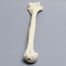 Humerus Unplugged, 9.5mm Canal, Solid Foam