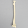 Radius with Distal Cavity, Solid Foam