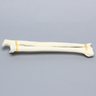 Ulna and Radius, 5.5mm Canal, Solid Foam