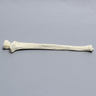 Ulna with Olecranon Fracture, Solid Foam