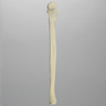 Ulna, 5mm Canal, Solid Foam, Left