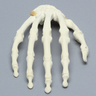 Hand with Moveable Carpal Section, Solid Foam