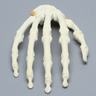 Hand with Moveable Carpal Section, Solid Foam