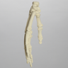 Hand, Solid Foam, Left, Large