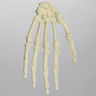 Hand, Solid Foam, Left, Large