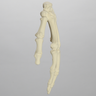 Hand, Solid Foam, Left, Large
