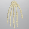 Hand, Solid Foam, Left, Large