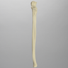Ulna, Solid Foam, Left, Medium