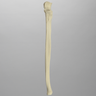 Ulna, Solid Foam, Left, Medium
