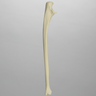 Ulna, Solid Foam, Left, Medium