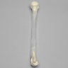 Humerus, 10mm Canal, Transparent Cortical