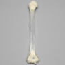 Humerus, 10mm Canal, Transparent Cortical