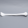 Humerus, Solid White Plastic, Left