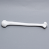Humerus, Solid White Plastic, Left