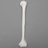 Humerus, 9.5mm Canal, Plastic Cortical Shell