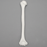 Humerus, 9.5mm Canal, Plastic Cortical Shell
