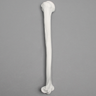 Humerus, 9.5mm Canal, Plastic Cortical Shell
