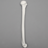 Humerus, 9.5mm Canal, Plastic Cortical Shell