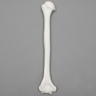 Humerus, 9.5mm Canal, Plastic Cortical Shell