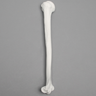Humerus, 9.5mm Canal, Plastic Cortical Shell