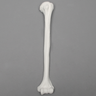 Humerus, 9.5mm Canal, Plastic Cortical Shell