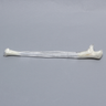 Ulna, 5mm Canal, Transparent Cortical