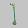 Femur, absolute™ Osteo, 12.5 PCF Solid Foam with 16 mm Canal, Large