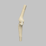 Converge™ Medium Left Knee with Non-Stretch Collateral and Cruciate Ligaments