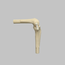 Converge™ Medium Left Knee with Non-Stretch Collateral and Cruciate Ligaments