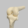 Converge™ Medium Left Knee with Non-Stretch Collateral and Cruciate Ligaments