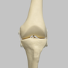 Converge™ Medium Left Knee with Non-Stretch Collateral and Cruciate Ligaments