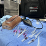 Ultrasound Branching 3-Vein Access Trainer with Artery, Clear Tone