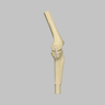 Converge™ Medium Left Knee with 7­­ Degree Varus Tibia