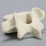 Vertebra, L5, Foam Cortical