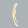 Hand, Solid Foam, Left, Medium