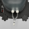 Ultrasound Right Heart Chamber and Valve Visualization Module, Clear Tone