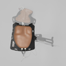 Ultrasound Right Heart Chamber and Valve Visualization Module, Medium Tone