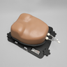 Ultrasound Right Heart Chamber and Valve Visualization Module, Medium Tone