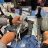Ultrasound Internal Jugular and Carotid Cannulation Module, Clear Tone