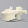 Vertebra, L2, Solid Foam