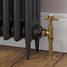 T-MAN-064-AG-UB-PIP-LS00 - Winkworth Traditional Manual Angled Unlacquered Brass Radiator Valves T-MAN-064-AG-UB-PIP-LS00 - Winkworth Traditional Manual Angled Unlacquered Brass Radiator Valves