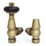 T-MAN-021-AG-OEB-ALT01 - Eastbury Traditional Manual Angled Old English Brass Radiator Valves T-MAN-021-AG-OEB-ALT01 - Eastbury Traditional Manual Angled Old English Brass Radiator Valves