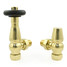 T-TRV-068-AG-UB-ALT02 - Jarrow Traditional TRV Angled Unlacquered Brass Thermostatic Radiator Valves T-TRV-068-AG-UB-ALT02 - Jarrow Traditional TRV Angled Unlacquered Brass Thermostatic Radiator Valves
