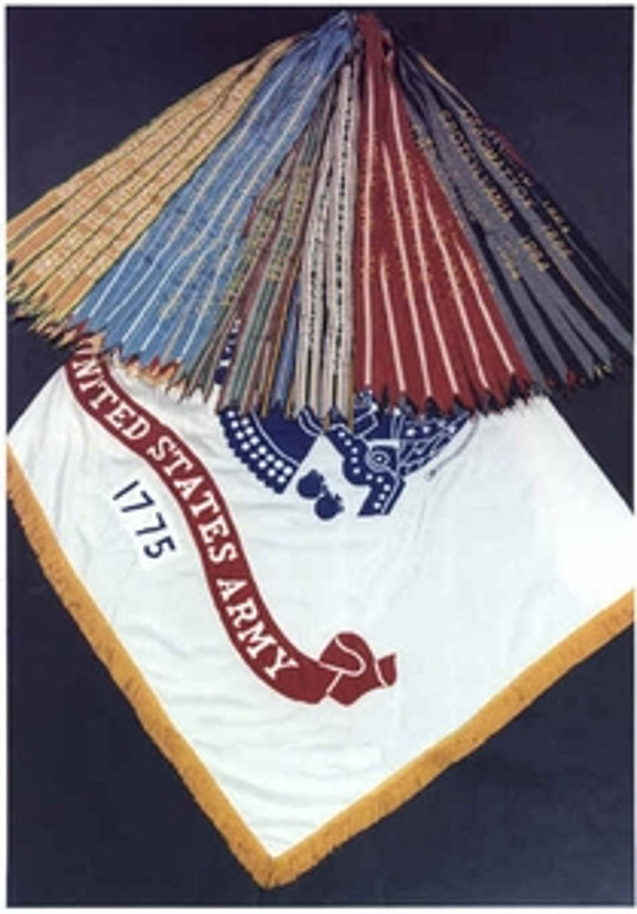 US Army Inclement Weather Streamer Set 39